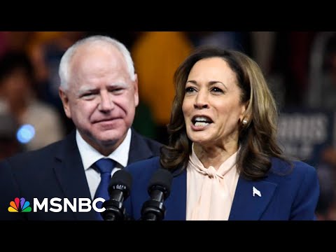 ‘She’s taking Republicans away from Trump’: Pollster reveals shocking new data for Harris