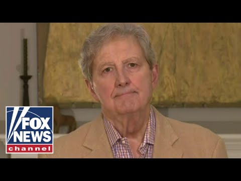 Sen. John Kennedy reacts to Kamala Harris' interview: 'It was like a wolf promising to be a vegan'