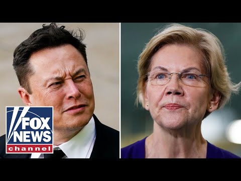 Trump team TORCHES Elizabeth Warren after Elon Musk criticism: 'Mic drop'