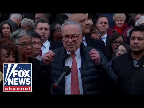 ‘SO DEPRESSING’: Chuck Schumer ripped by DEMOCRATS for Musk protest