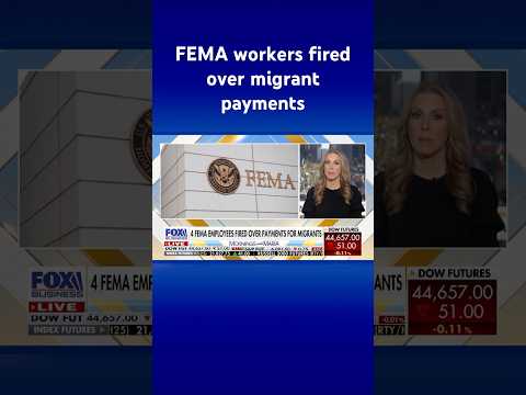 Four FEMA employees fired over their $59M in payments for migrants #shorts