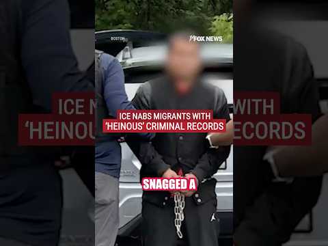WATCH: Massive ICE crackdown detains criminal migrants #shorts #foxnews #news #us #world #ice #crime