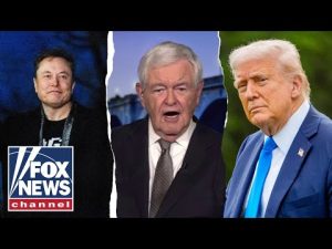Elon Musk 'kind of forgot' this about Trump: Newt Gingrich